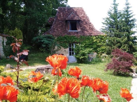 Petite Maison En Perigord Noir Plazac Exterior foto
